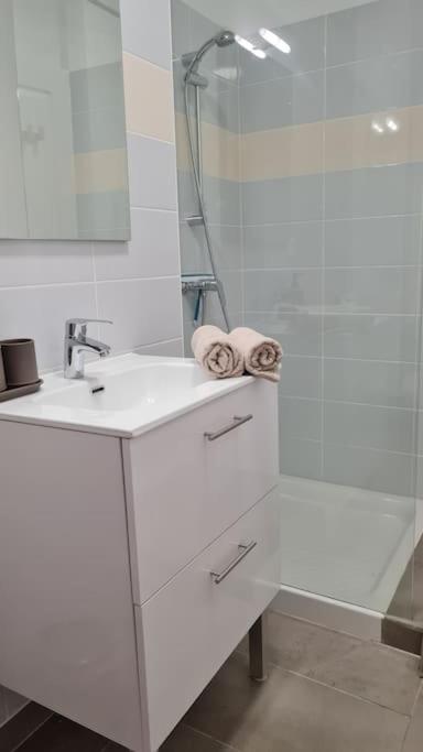 Apartament Le Green Parc, Libourne Hypercentre, Netflix, Clim Zewnętrze zdjęcie